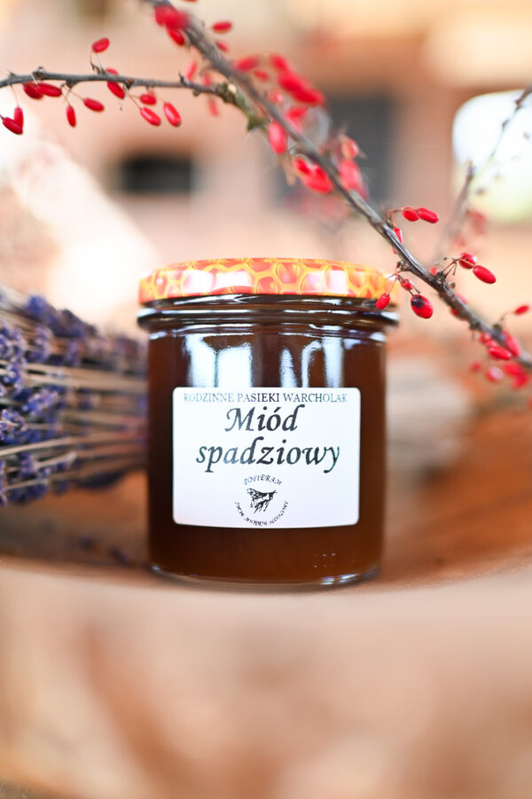 Miód Spadziowy - 400g