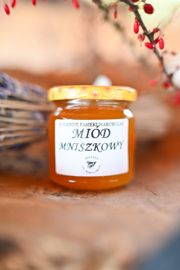 Miód MNISZKOWY- 50g