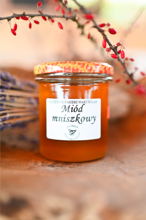 Miód MNISZKOWY- 400g